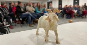 chèvre agriculture paysanne force nez